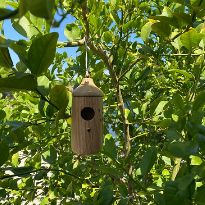 HummiHome | Cute Resin Hummingbird House for Spring & Garden