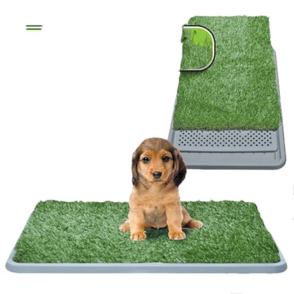 GrassPaws | Realistic Artificial Grass for Dog Training