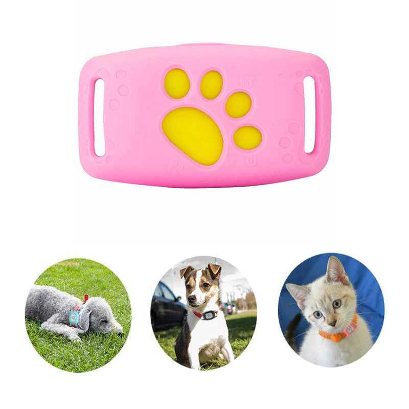 Petbeacon | Smart GPS cat neck band with real-time tracking 5