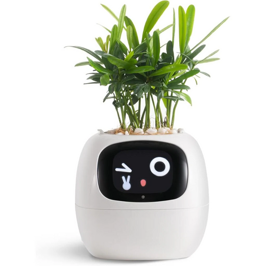 BloomTech | Interactive Flower Pot with Sensor Technology & LED Feedback