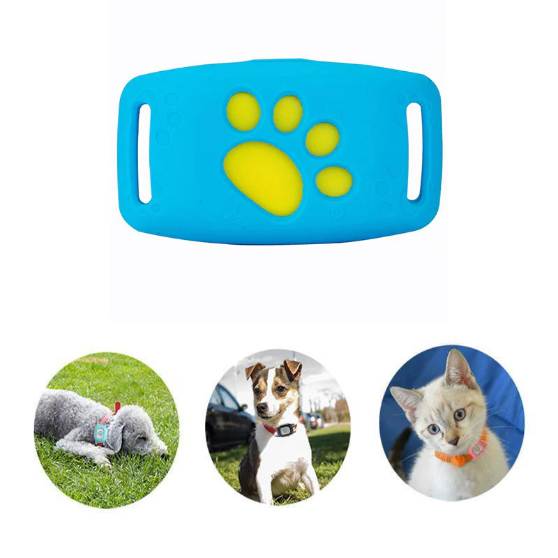 Petbeacon | Smart GPS cat neck band with real-time tracking 6