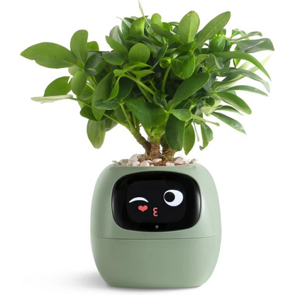 BloomTech | Interactive Flower Pot with Sensor Technology & LED Feedback
