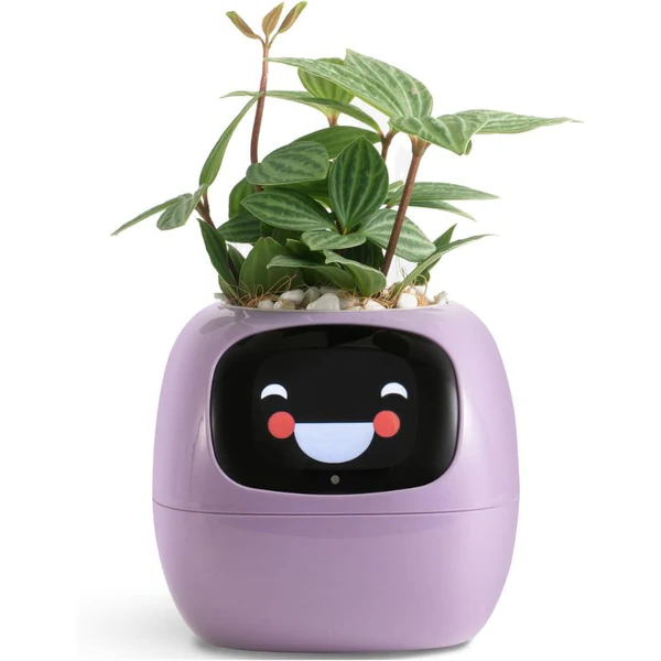 BloomTech | Interactive Flower Pot with Sensor Technology & LED Feedback