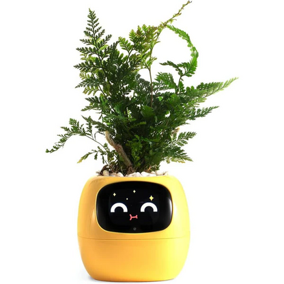 BloomTech | Interactive Flower Pot with Sensor Technology & LED Feedback