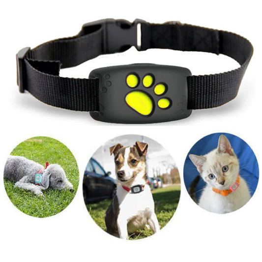 Petbeacon | Smart GPS cat neck band with real-time tracking 1