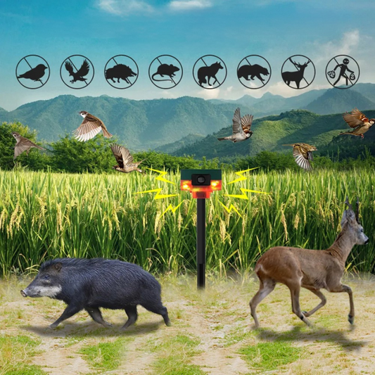 SonicShield | Solar Bird Repeller with Flashing Light