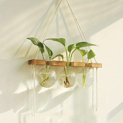 PlantPendulum | Space-Saving Wall-Mounted Plant Holder