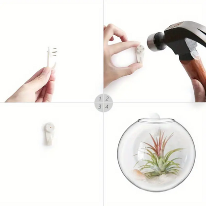 AquaPod | Oblate Form Glass Wall Planters