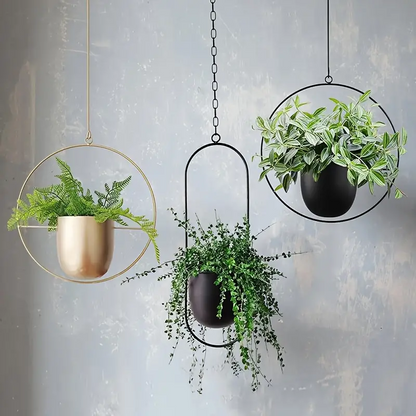 FrameLoop | Minimalist & Timeless Hanging Flower Pot