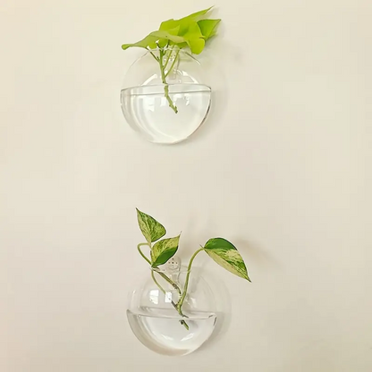 AquaPod | Oblate Form Glass Wall Planters