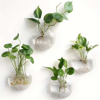 AquaPod | Oblate Form Glass Wall Planters