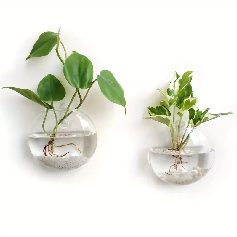 AquaPod | Oblate Form Glass Wall Planters