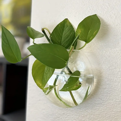 AquaPod | Oblate Form Glass Wall Planters